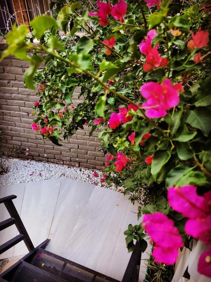 Apartamento Casa Amalia Céntricos *